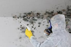 Best Residential Mold Inspection & Testing  in Northfield, MN